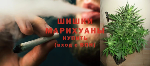 дживик Беломорск